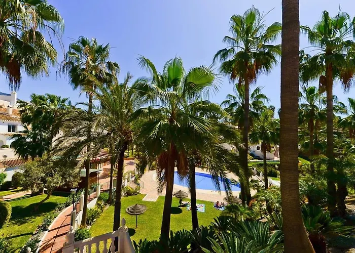 17c Palmas, Oasis